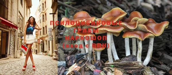 каннабис Абдулино