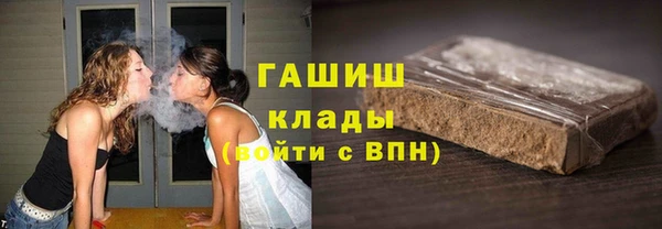 гидра Абаза